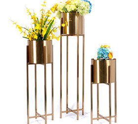 DSC_3678.JPG DSC_3678.JPG